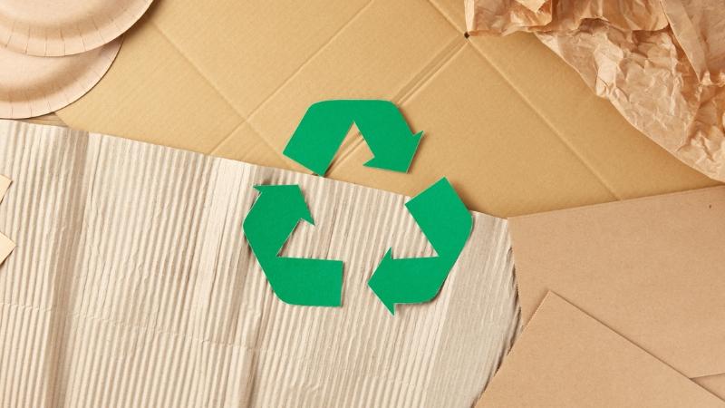 Sống xanh với giới trẻ hiện nay đã trở thành một phần của lối sống hiện đại