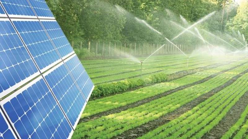 Năng lượng sạch trong nông nghiệp công nghệ cao